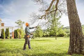 How Our Tree Care Process Works  in  Gananda, NY